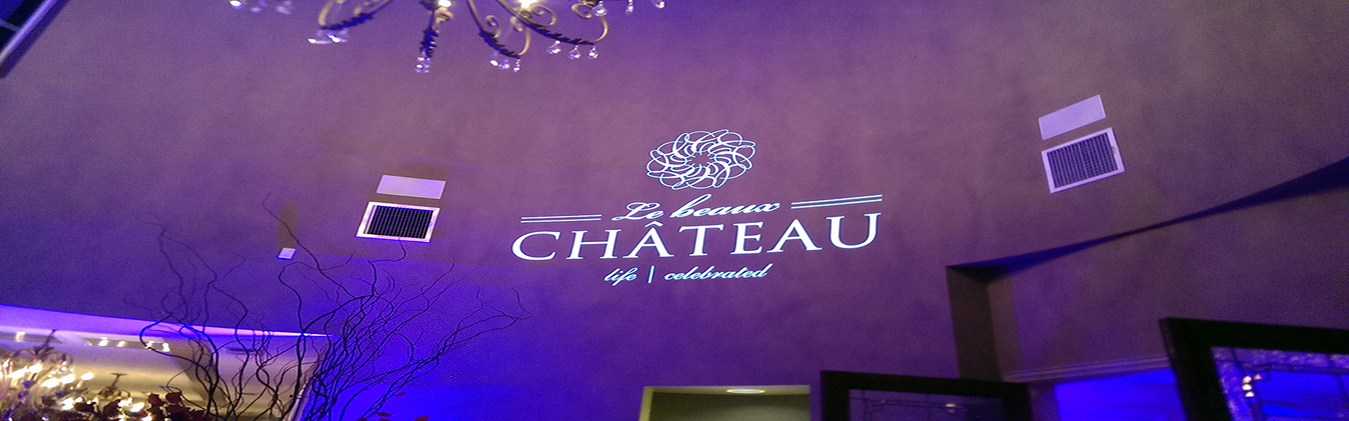 Logo Projection